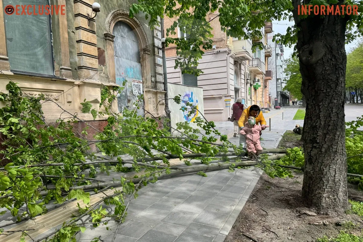Деревопад в Днепре: ветви падают на дороги, тир и детские площадки из-за сильного ветра.