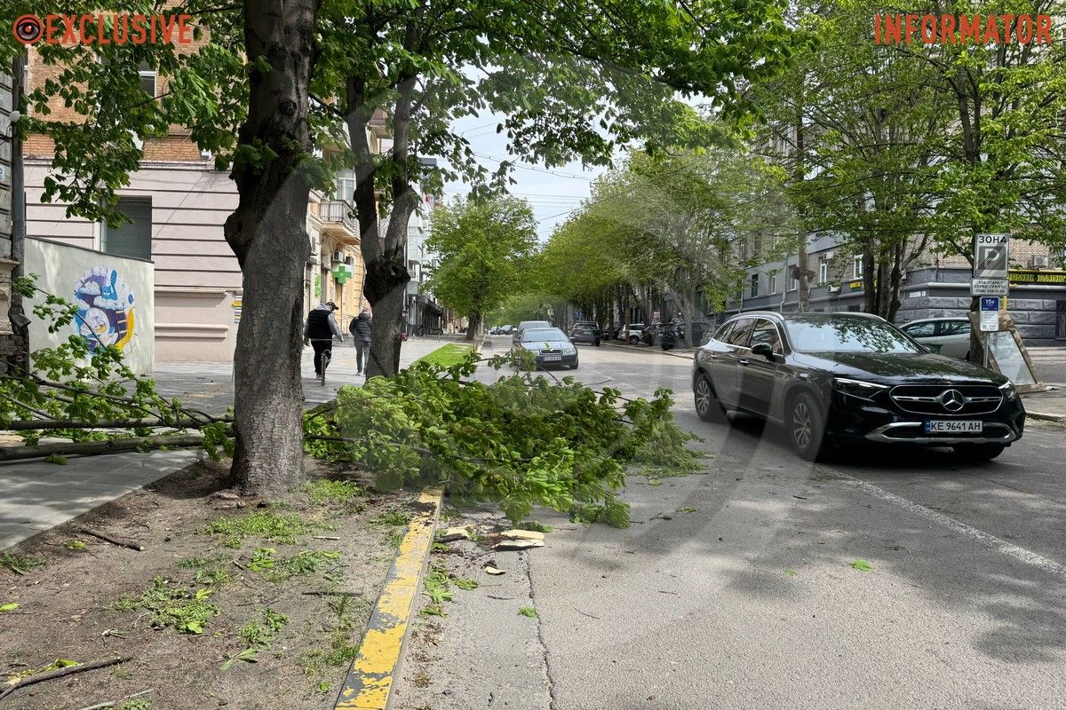 Деревопад в Днепре: ветки падают на дороги, тир и детские площадки из-за сильного ветра.