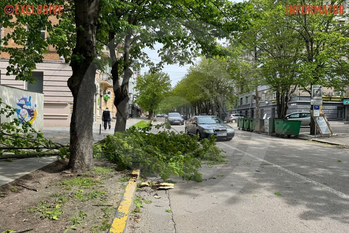 Деревопад в Днепре: ветви падают на дороги, тир и детские площадки из-за сильного ветра.