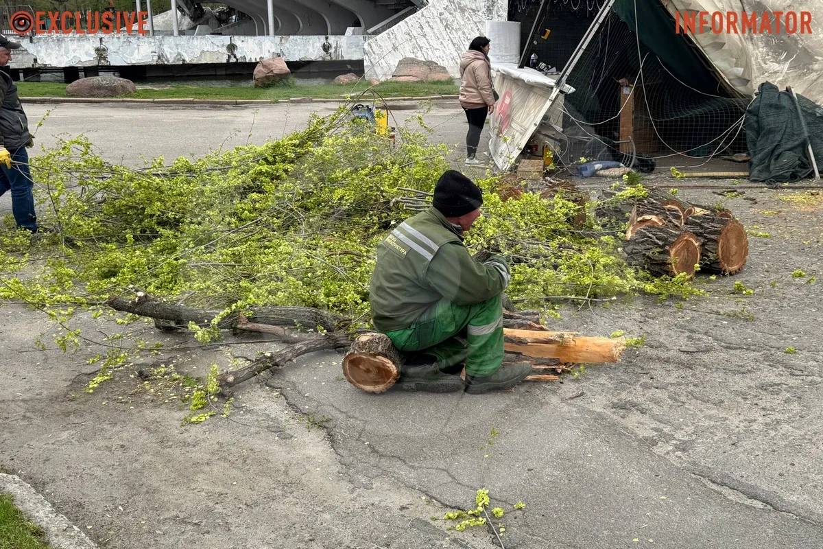 Деревопад в Днепре: ветки падают на дороги, тир и детские площадки из-за сильного ветра 12