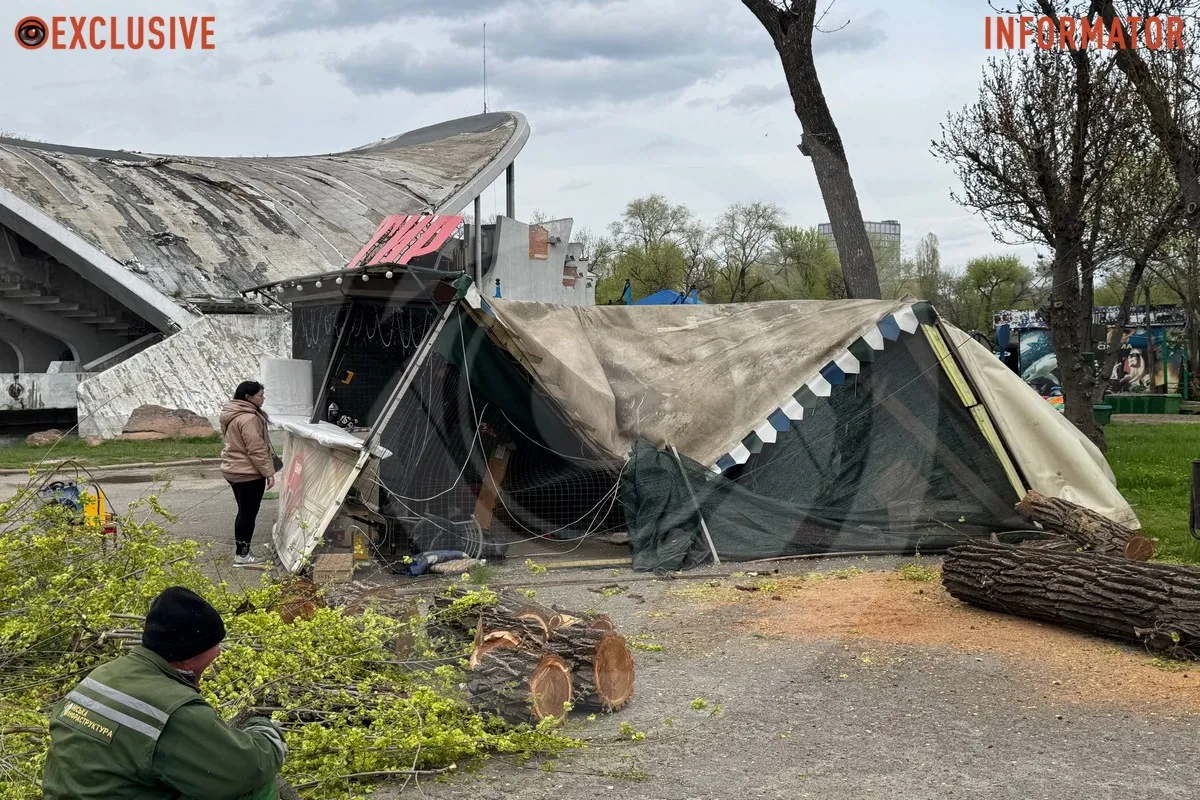 Деревопад в Днепре: ветки падают на дороги, тир и детские площадки из-за сильного ветра 13