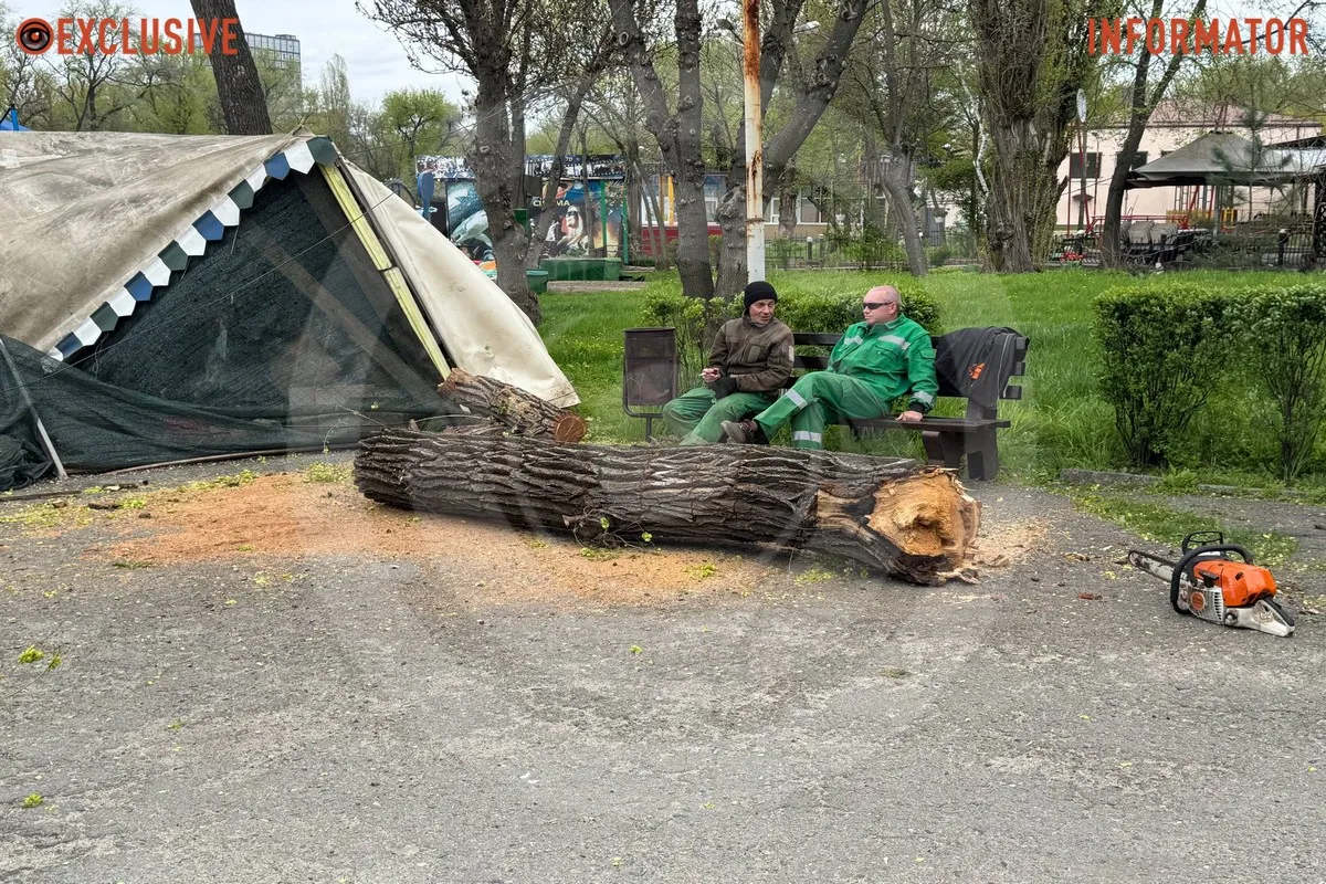 Деревопад в Днепре: ветки падают на дороги, тир и детские площадки из-за сильного ветра.