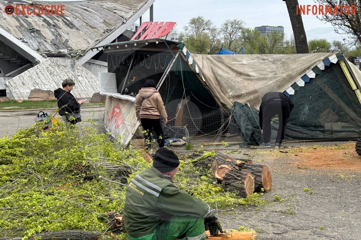 Деревопад в Днепре: ветви падают на дороги, тир и детские площадки из-за сильного ветра 21
