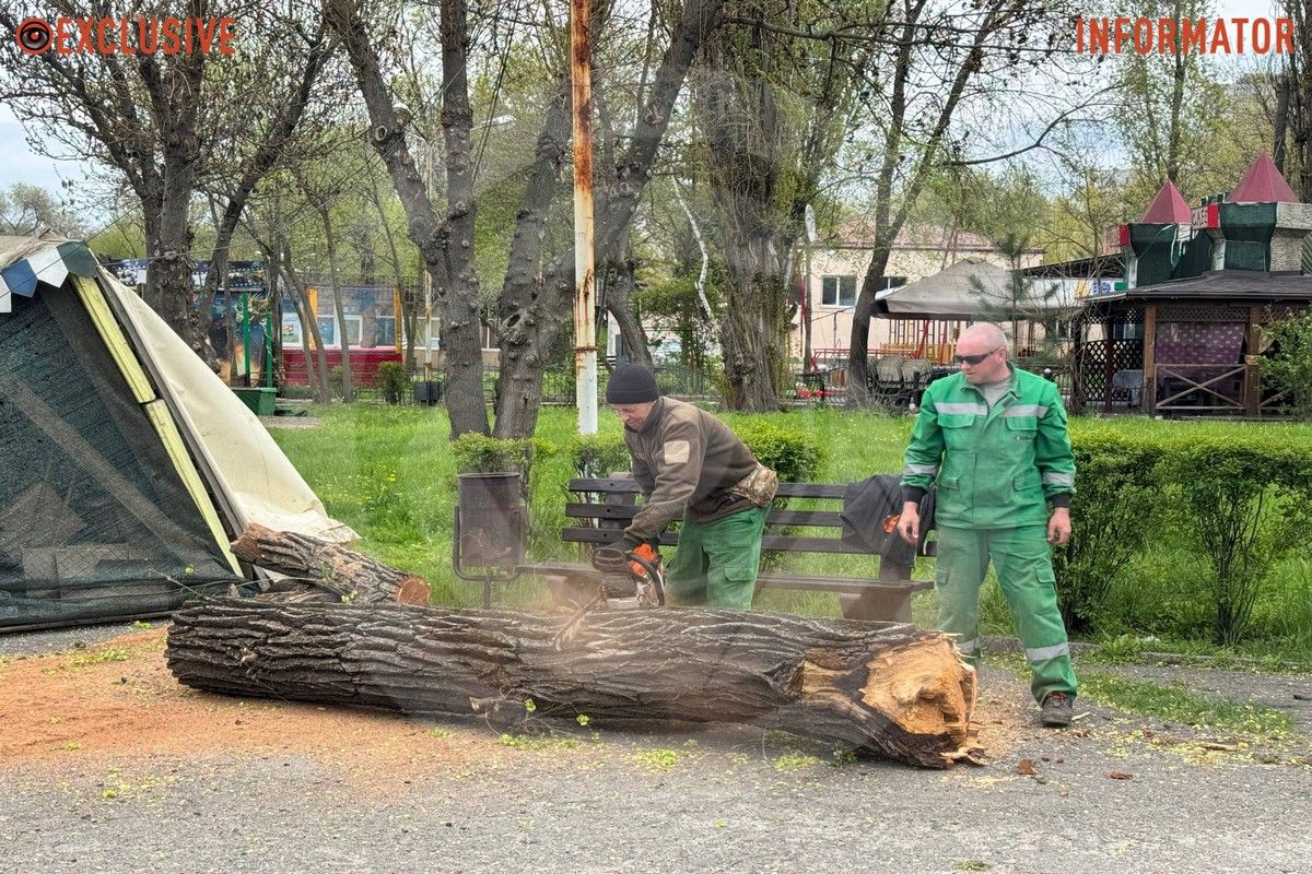 Деревопад в Днепре: ветви падают на дороги, тир и детские площадки из-за сильного ветра.