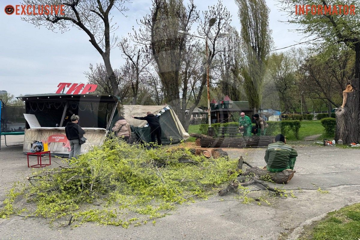 Деревопад в Днепре: ветки падают на дороги, тир и детские площадки из-за сильного ветра 22