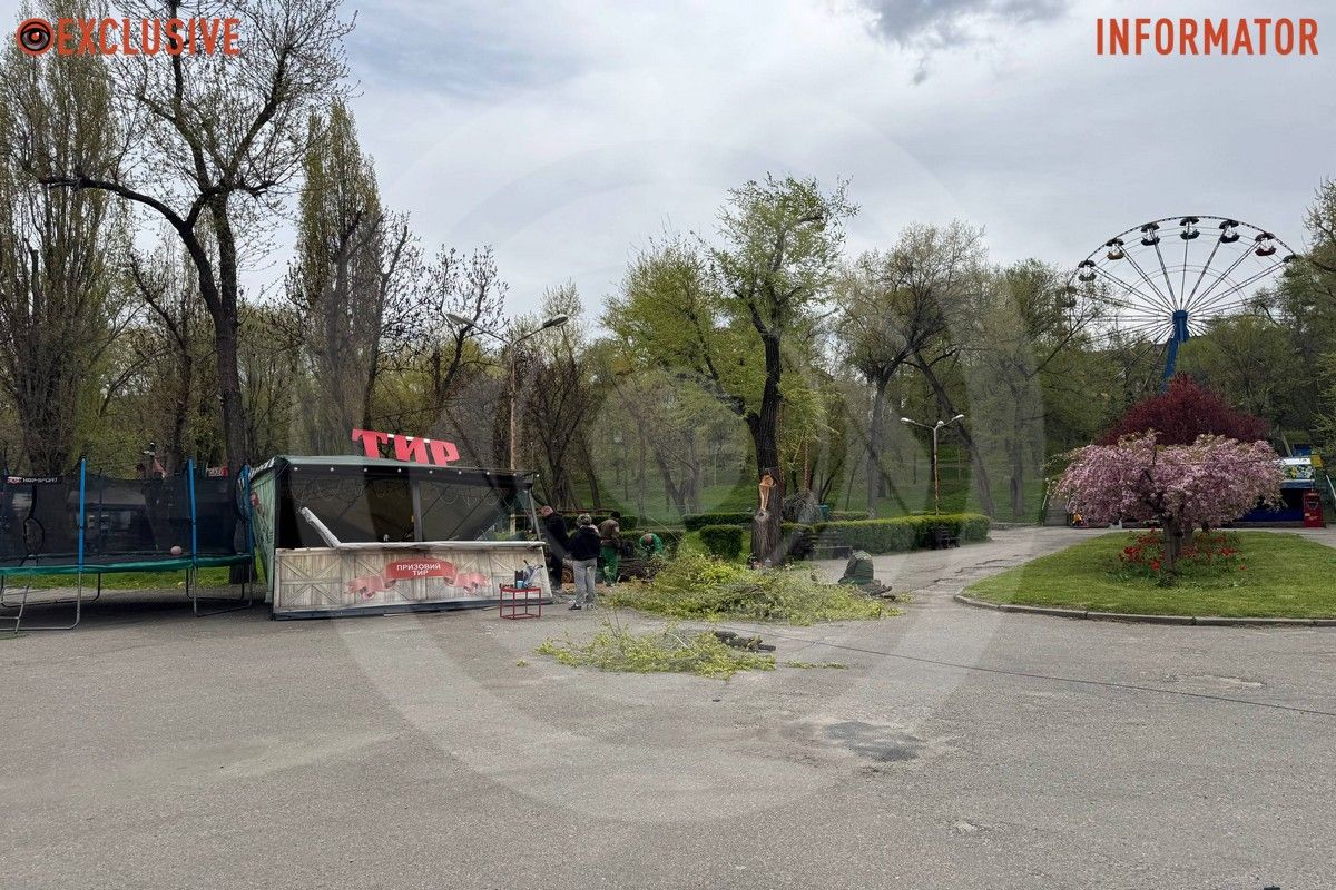 Деревопад в Днепре: ветки падают на дороги, тир и детские площадки из-за сильного ветра 23