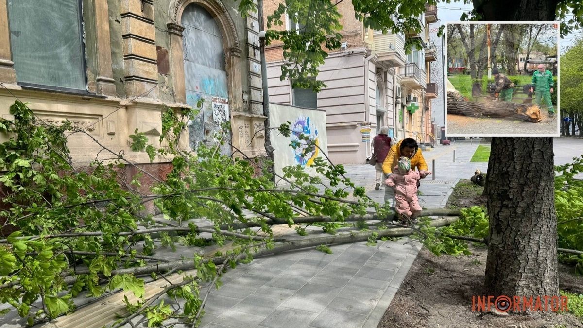 Деревопад у Дніпрі: гілки падають на дороги, тир та дитячі майданчики через сильний вітер