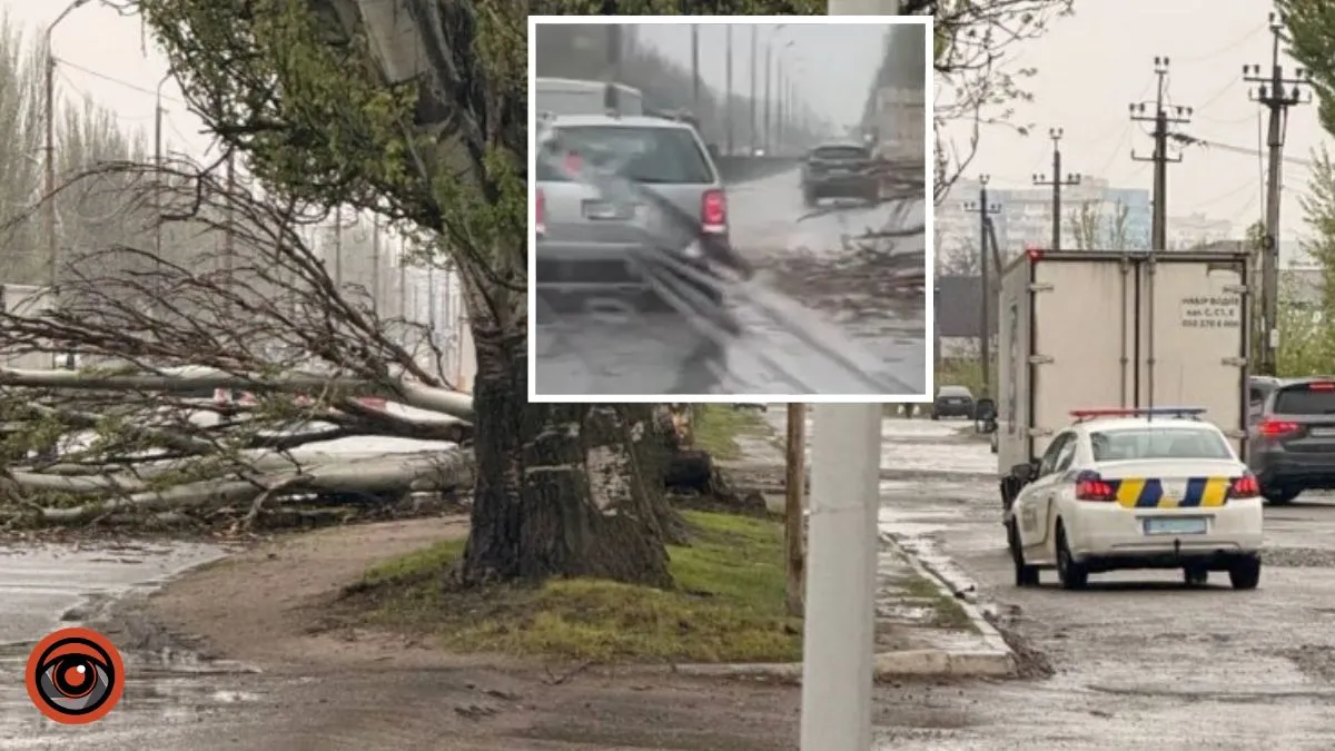 У Дніпрі на Донецькому шосе на дорогу впало велике дерево: рух ускладнений