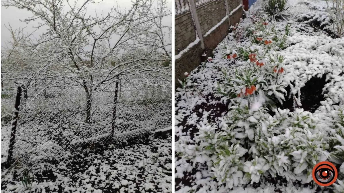 У Дніпропетровській області 24 квітня засніжило