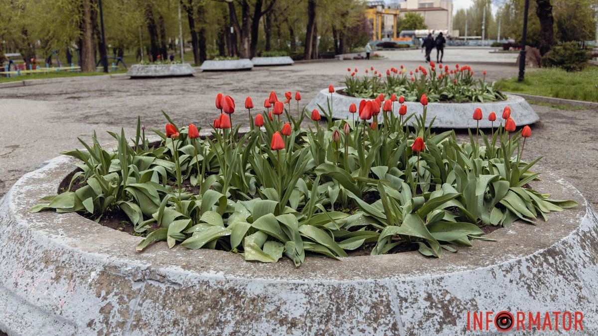 Погода на 25 апреля: в Днепре будет солнечно утром и облачно днем