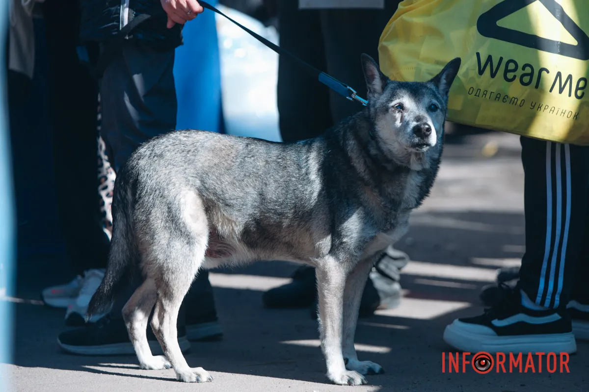 Комбінована атака на Дніпро 25 квітня: фото з місць атак 139
