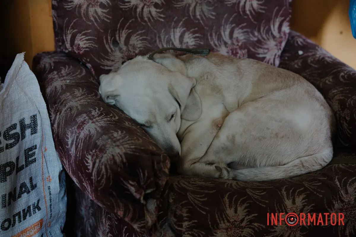 Комбінована атака на Дніпро 25 квітня: фото з місць атак 12