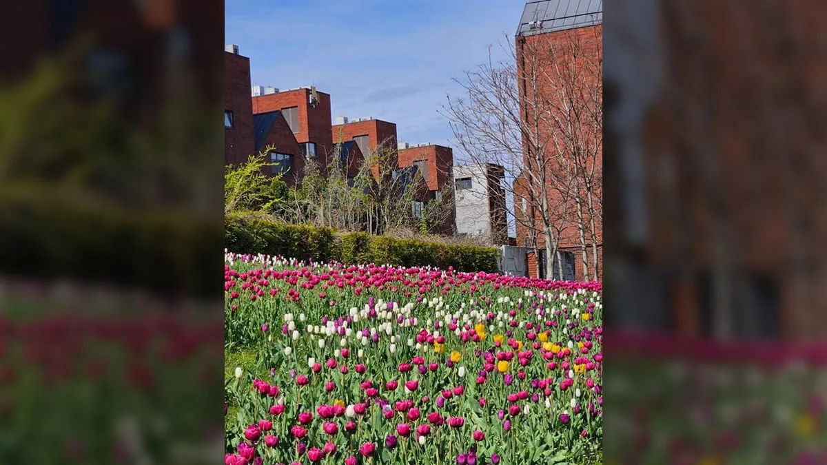 Якби у Дніпра був Instagram: топ красивих світлин міста