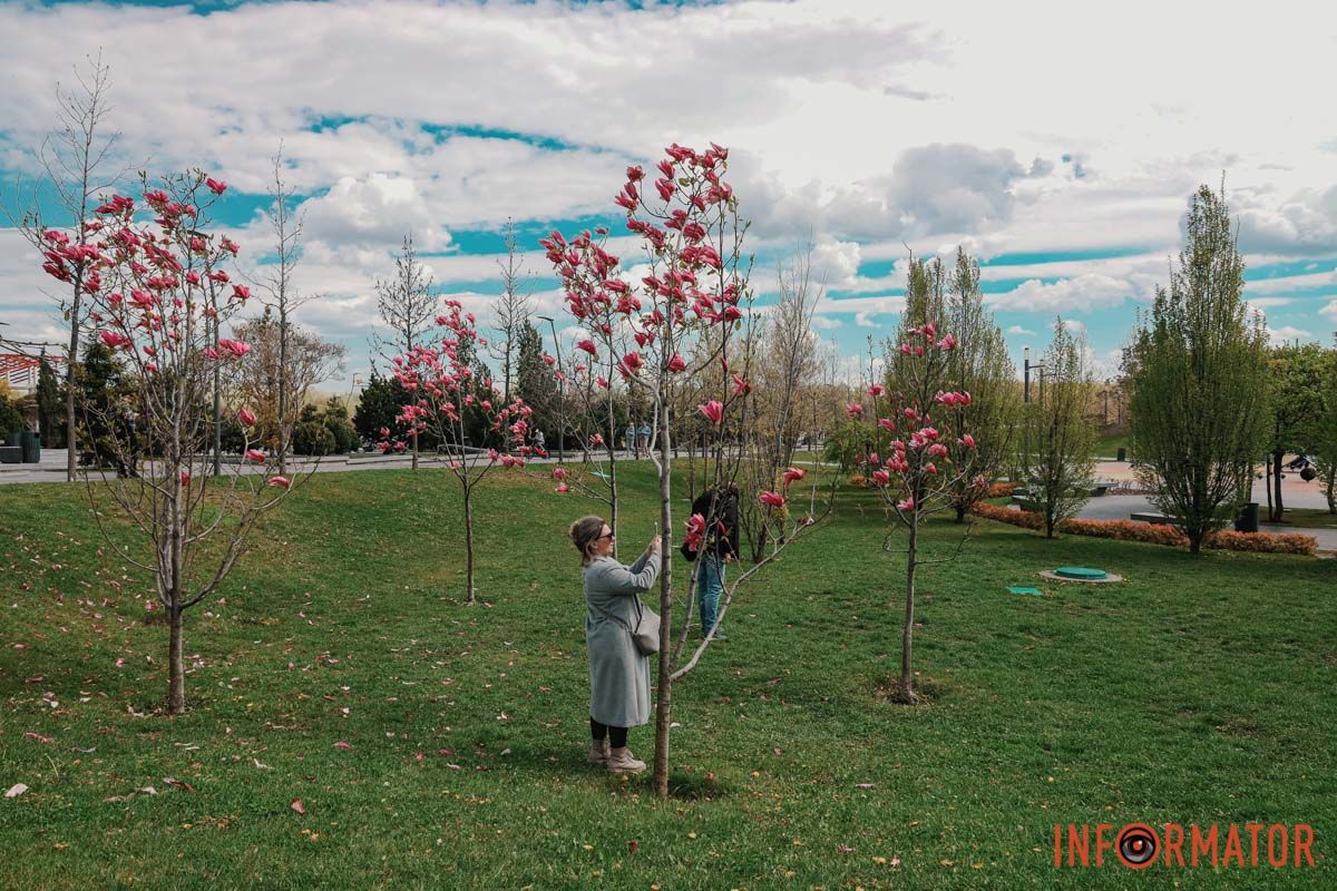 У Дніпрі у сквері Прибережному та на Перемозі розквітли ніжні сакури та магнолії 11