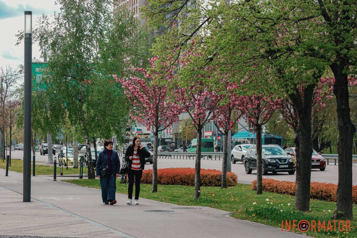 У Дніпрі у сквері Прибережному та на Перемозі розквітли ніжні сакури та магнолії 15