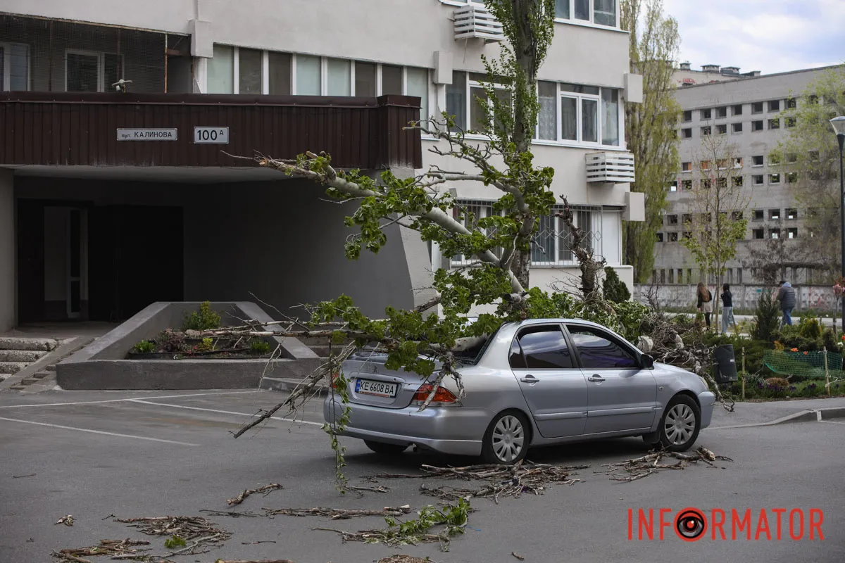 Шторм в Днепре 26 апреля: падение деревьев и поврежденные авто 1