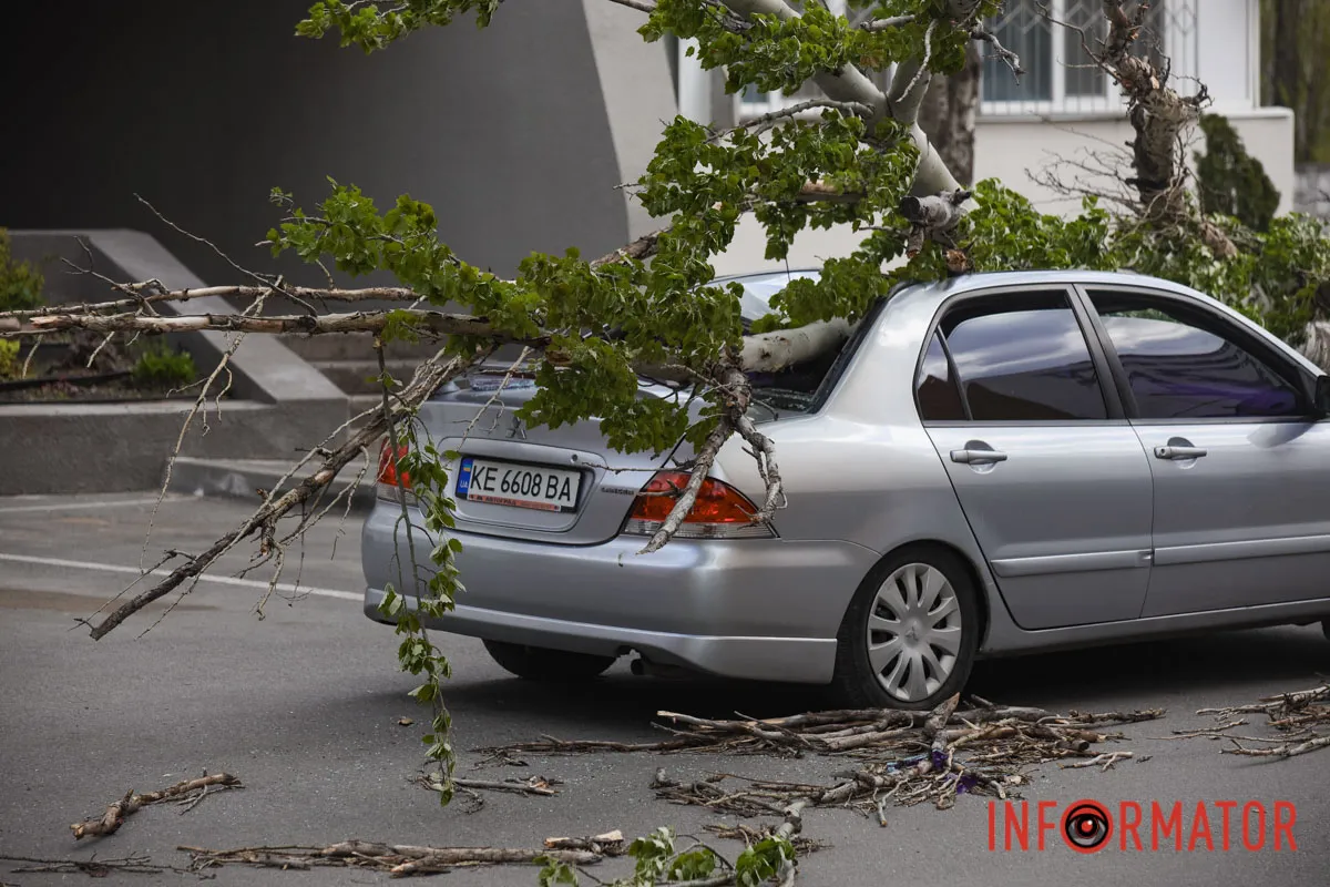 Шторм в Днепре 26 апреля: падение деревьев и поврежденные авто 2