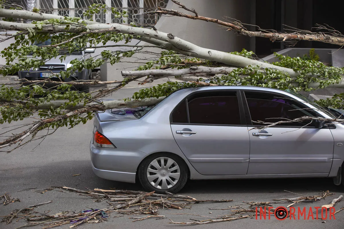 Шторм в Днепре 26 апреля: падение деревьев и поврежденные авто 3