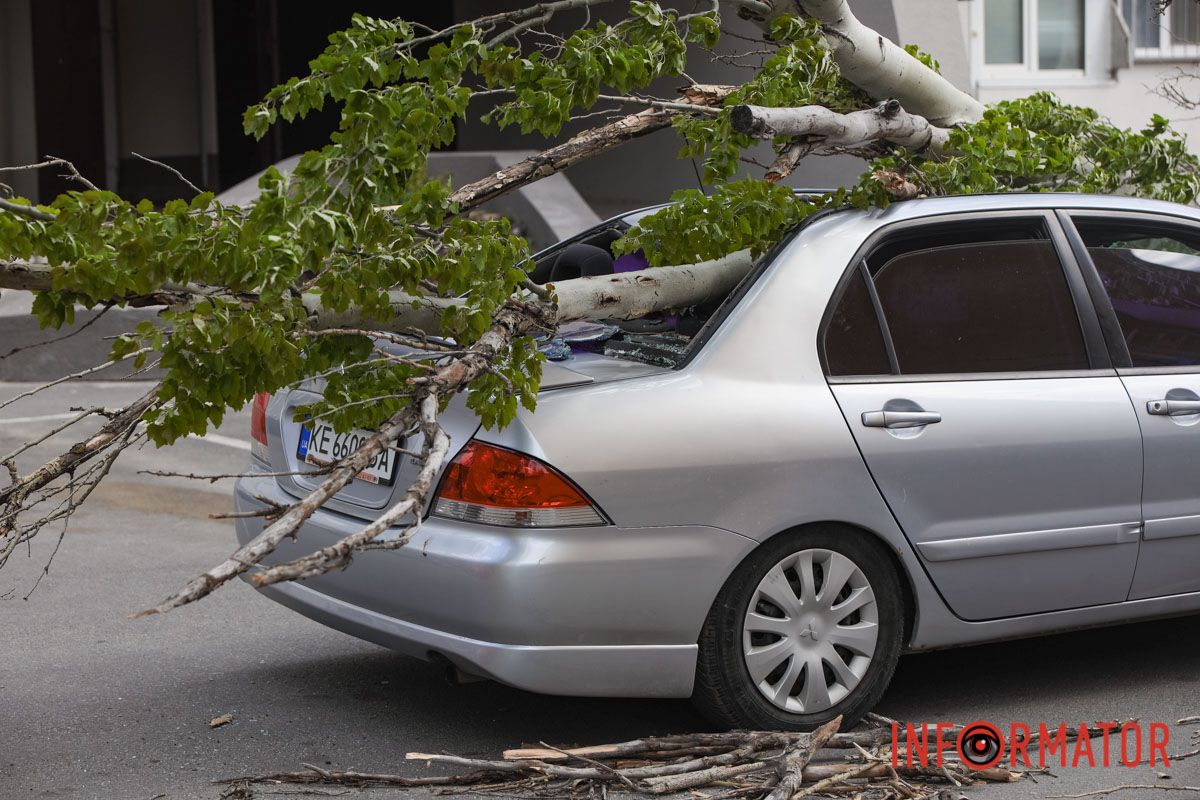 Шторм в Днепре 26 апреля: падение деревьев и поврежденные авто 4