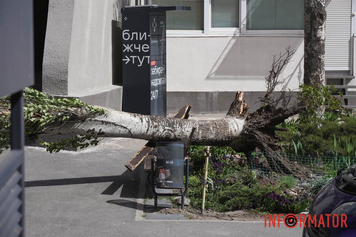Шторм в Днепре 26 апреля: падение деревьев и поврежденные авто 5