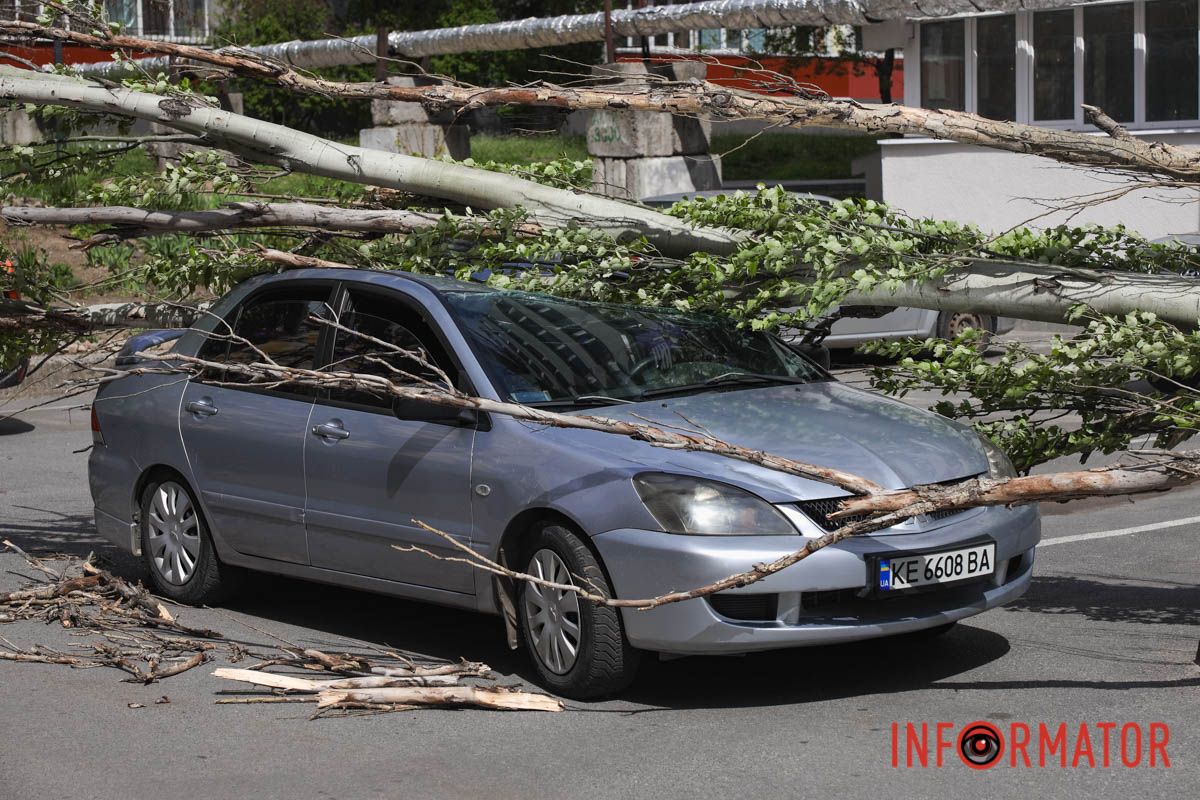 Шторм в Днепре 26 апреля: падение деревьев и поврежденные авто 6