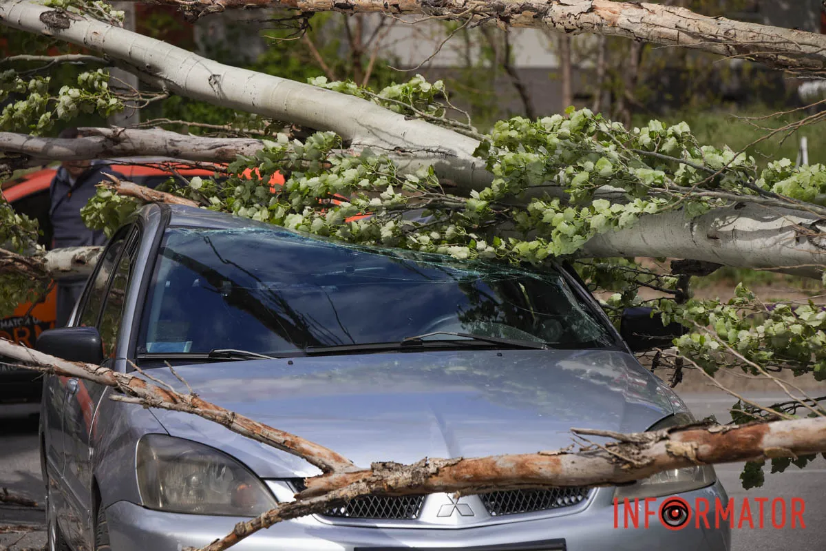 Шторм в Днепре 26 апреля: падение деревьев и поврежденные авто 7