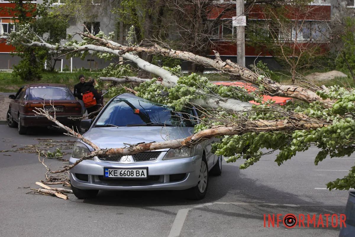 Шторм в Днепре 26 апреля: падение деревьев и поврежденные авто 8