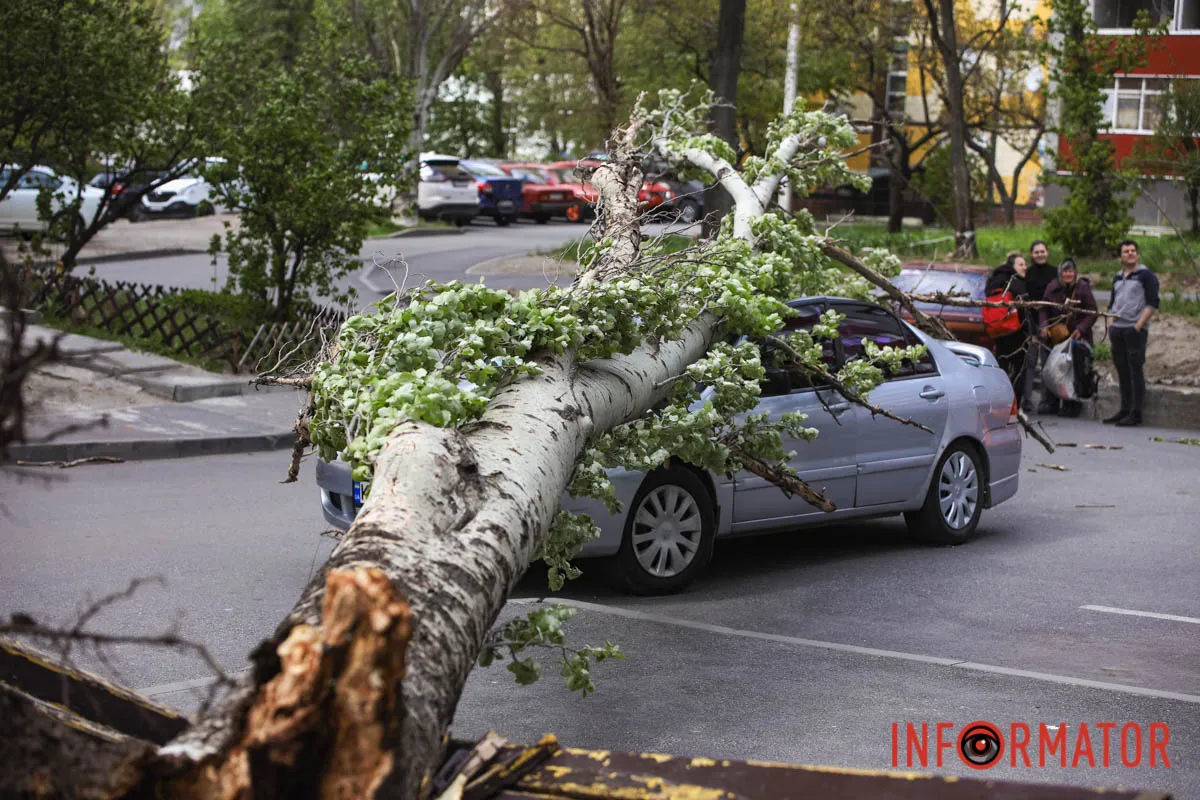 Шторм в Днепре 26 апреля: падение деревьев и поврежденные авто 9