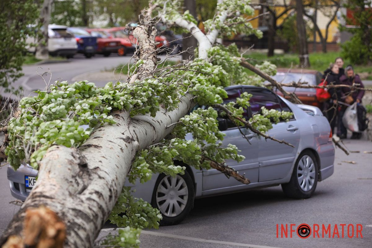 Шторм в Днепре 26 апреля: падение деревьев и поврежденные авто 11