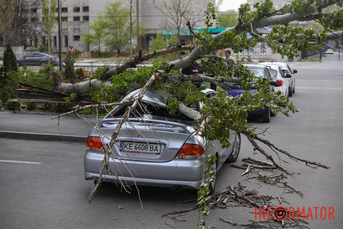 Шторм в Днепре 26 апреля: падение деревьев и поврежденные авто 12