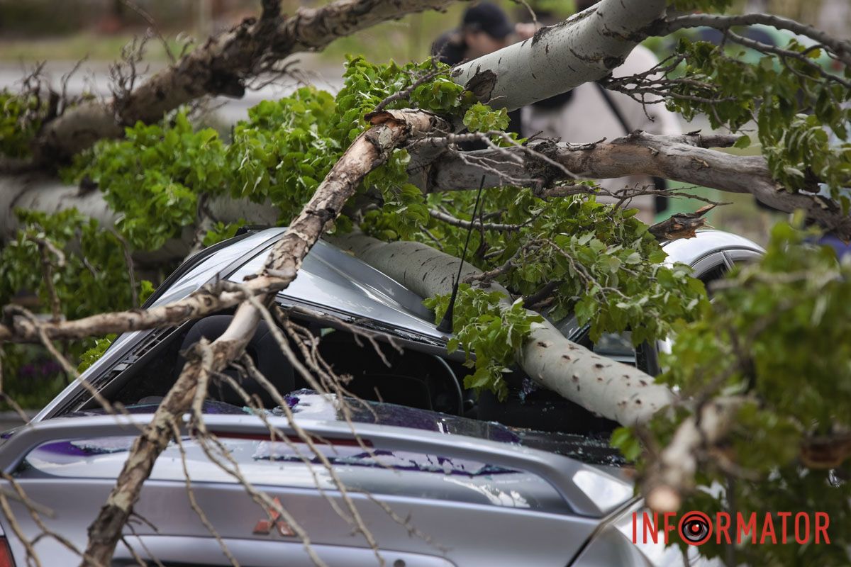 Шторм в Днепре 26 апреля: падение деревьев и поврежденные авто 13