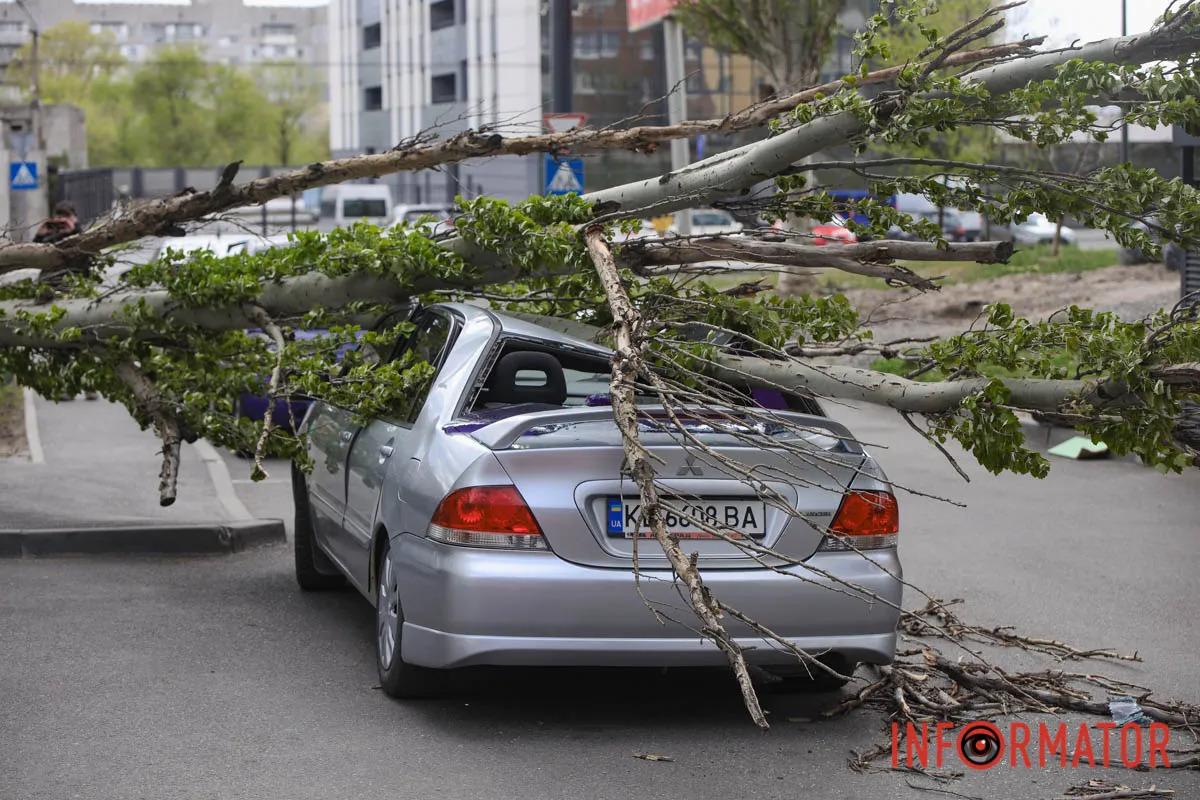 Шторм в Днепре 26 апреля: падение деревьев и поврежденные авто 14