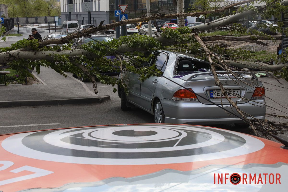 Шторм в Днепре 26 апреля: падение деревьев и поврежденные авто 15