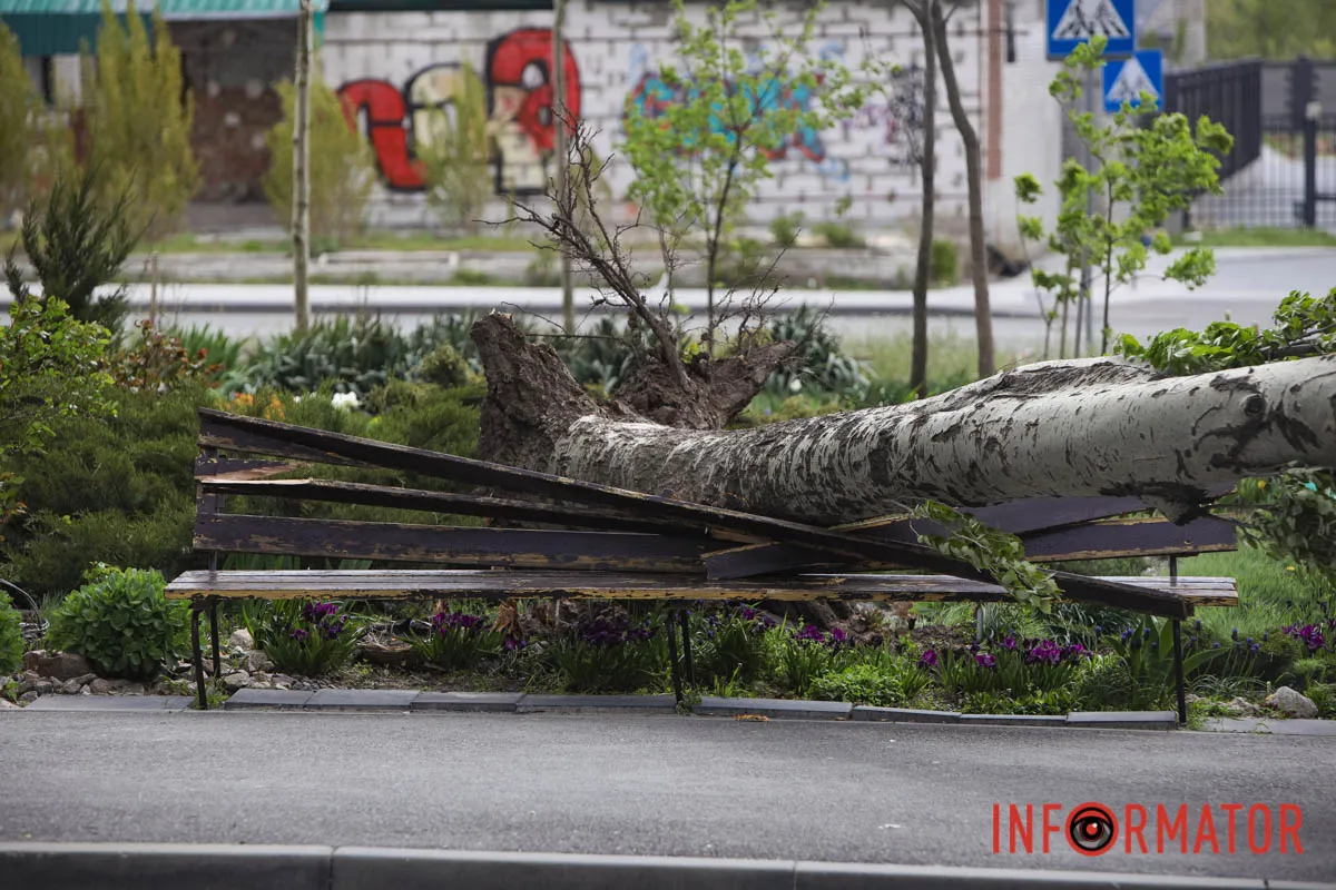 Шторм в Днепре 26 апреля: падение деревьев и поврежденные авто 16