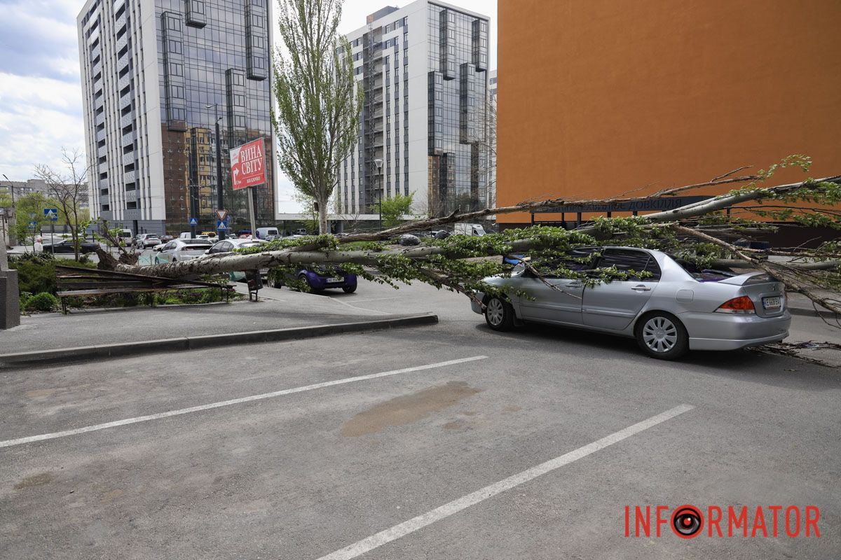 Шторм в Днепре 26 апреля: падение деревьев и поврежденные авто 17