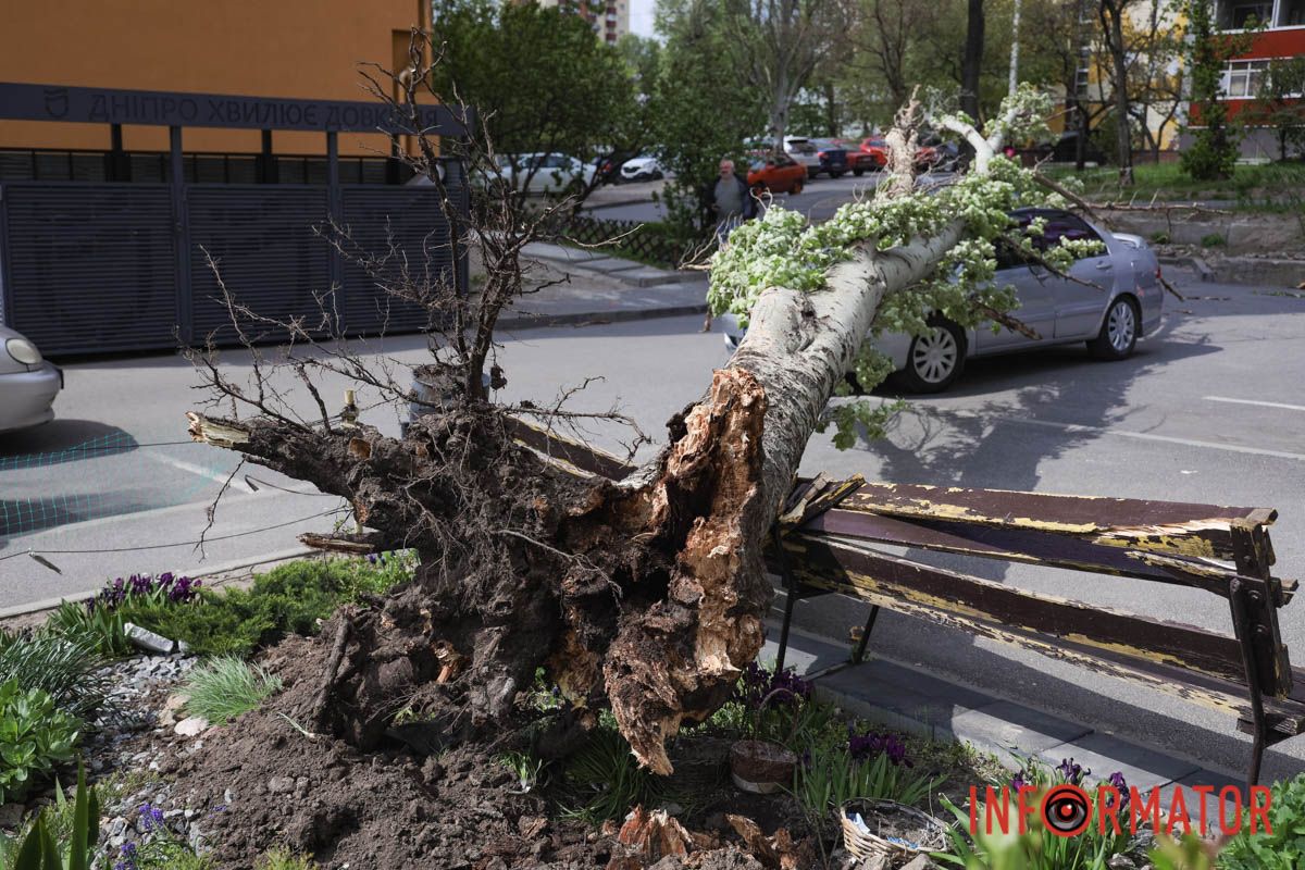 Шторм в Днепре 26 апреля: падение деревьев и поврежденные авто 18