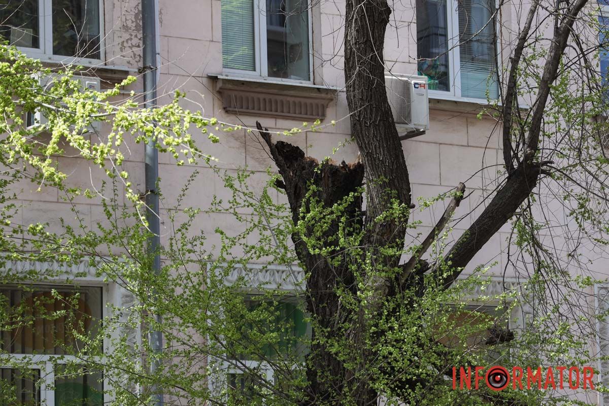 Шторм в Днепре 26 апреля: падение деревьев и поврежденные авто 29