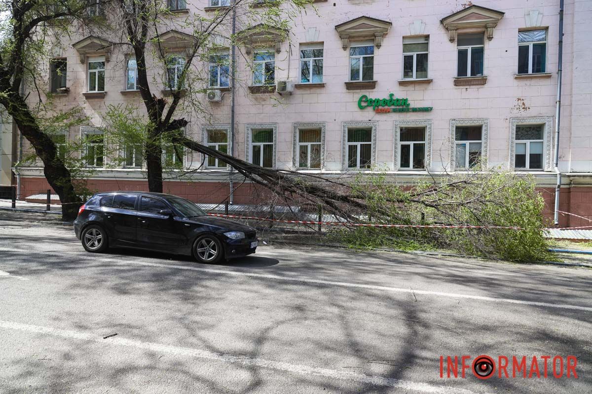 Шторм в Днепре 26 апреля: падение деревьев и поврежденные авто 21