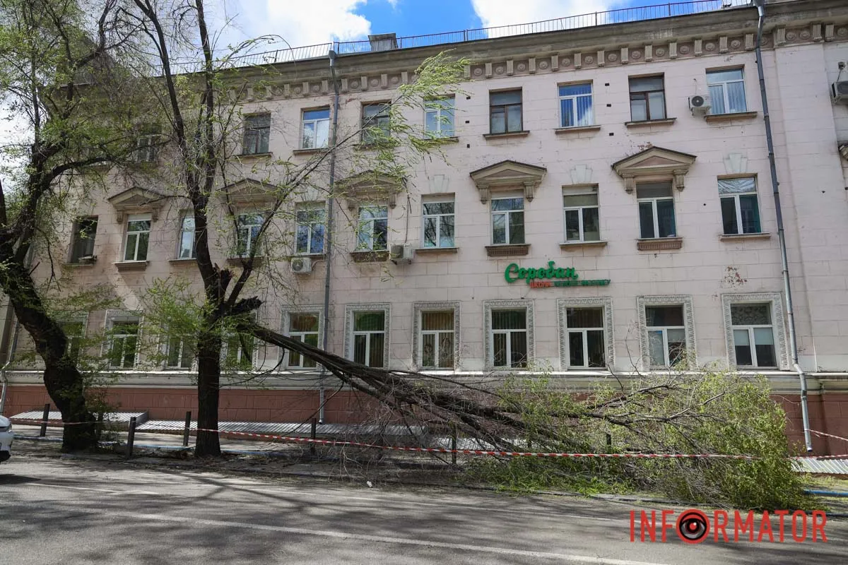 Шторм в Днепре 26 апреля: падение деревьев и поврежденные авто 28