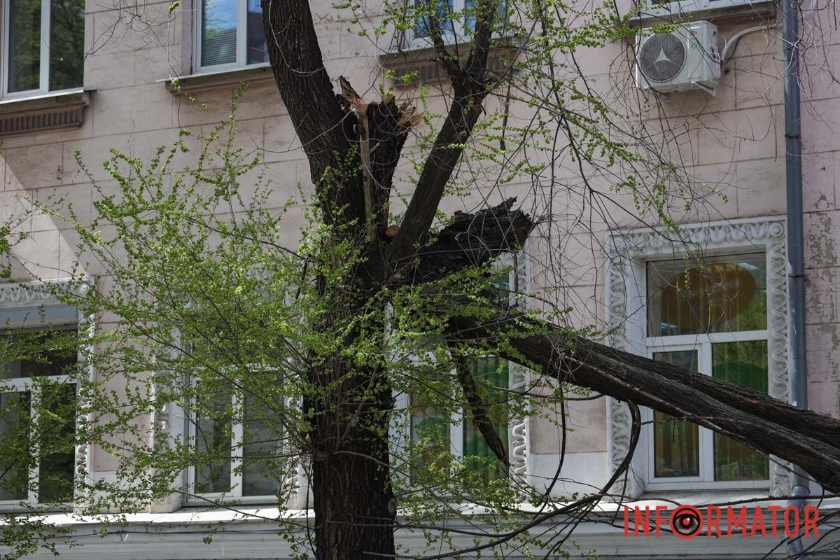Шторм в Днепре 26 апреля: падение деревьев и поврежденные авто 27