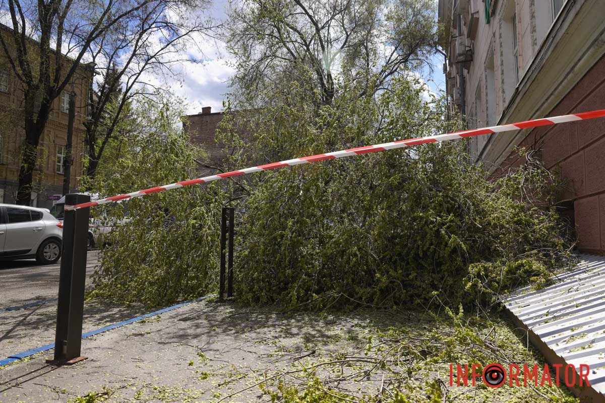 Шторм в Днепре 26 апреля: падение деревьев и поврежденные авто 26