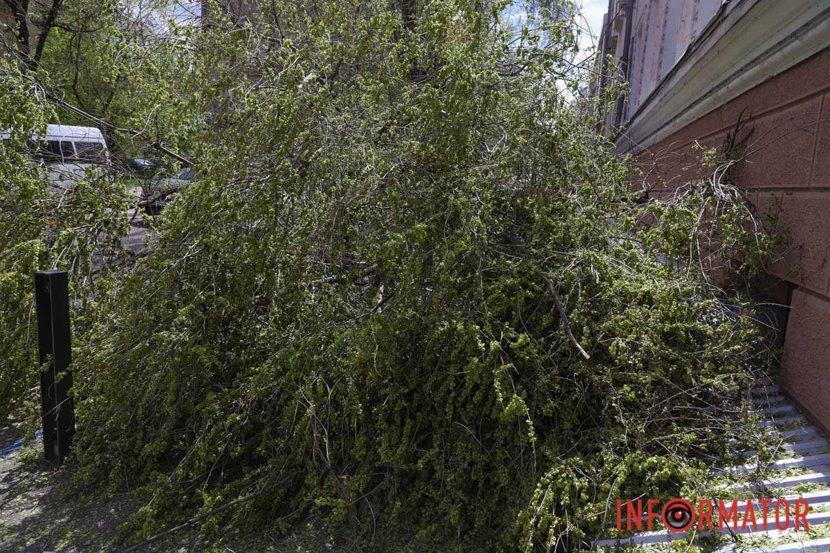 Шторм в Днепре 26 апреля: падение деревьев и поврежденные авто 25