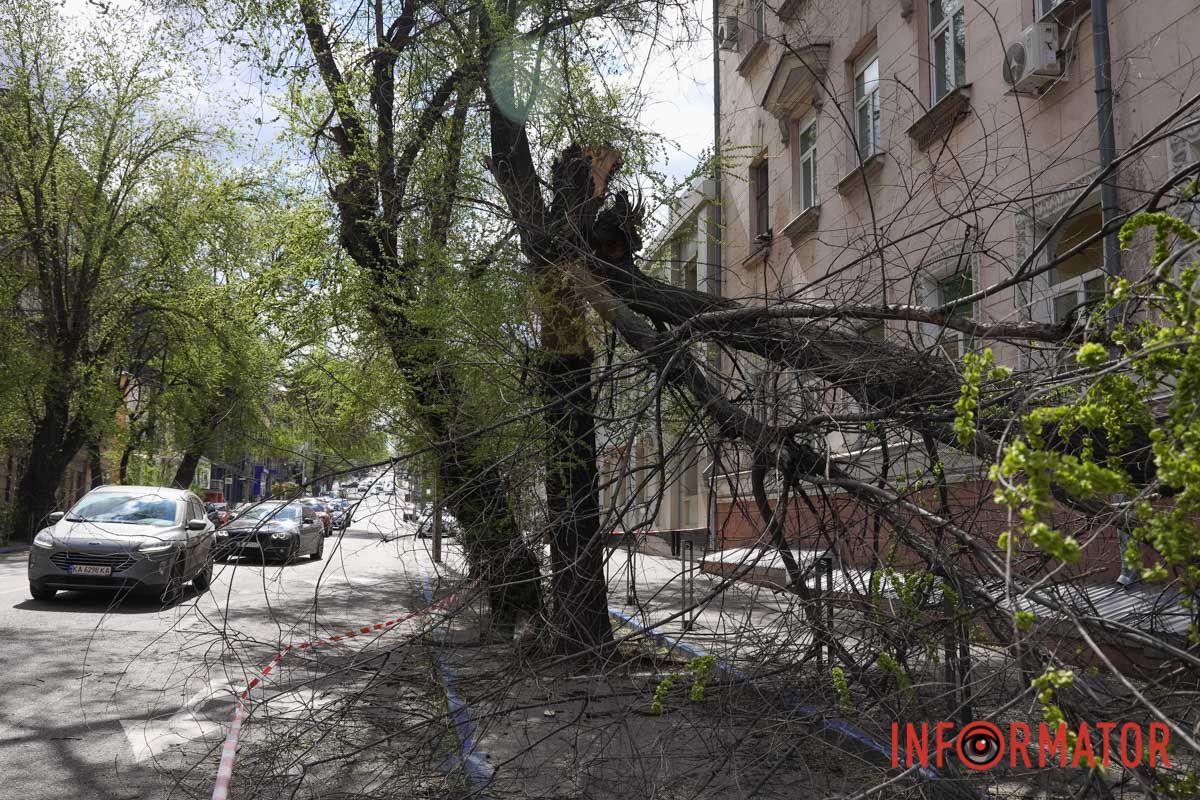 Шторм в Днепре 26 апреля: падение деревьев и поврежденные авто 24
