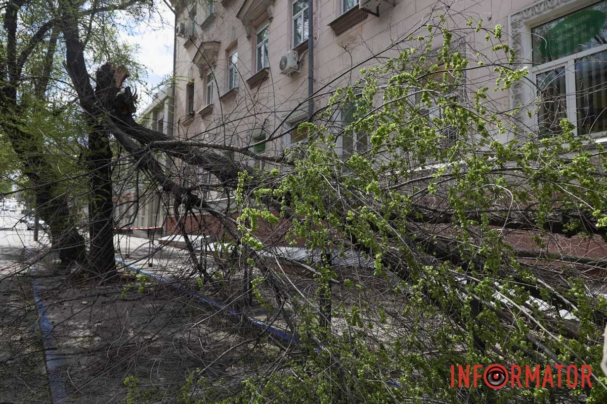 Шторм в Днепре 26 апреля: падение деревьев и поврежденные авто 23
