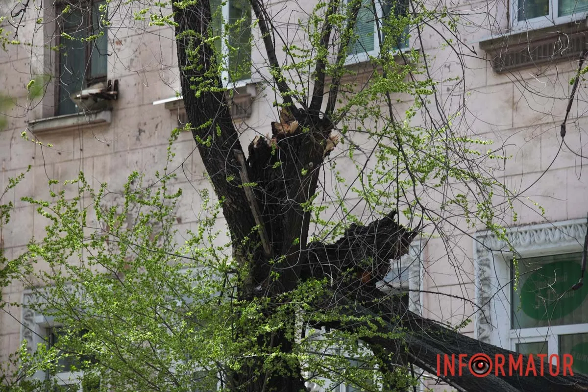 Шторм в Днепре 26 апреля: падение деревьев и поврежденные авто 20