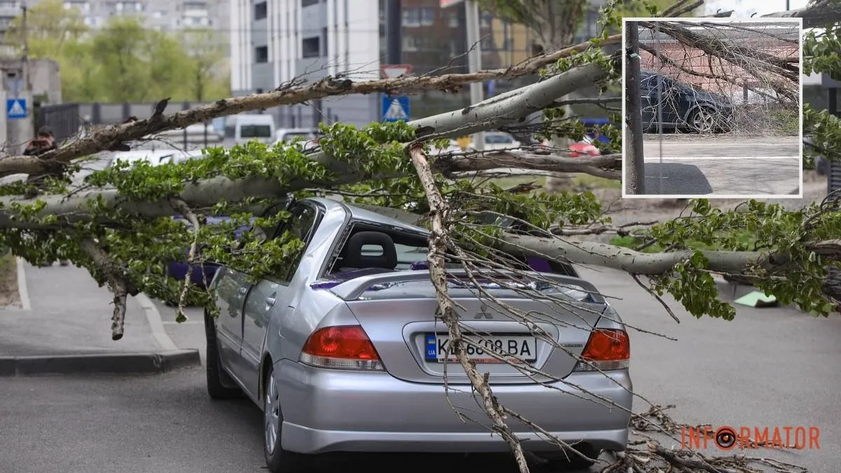 У Дніпрі 26 квітня вирує негода: падіння дерев і пошкоджені авто