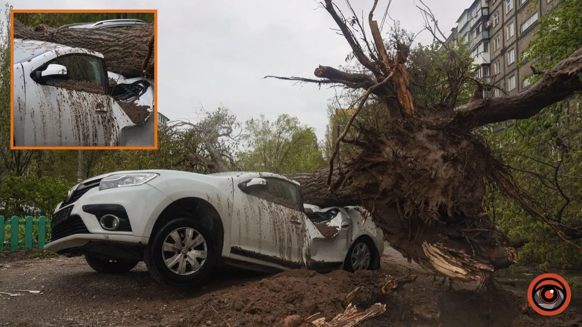Немов торнадо: на лівому березі Дніпра десятки дерев повиривало з корінням, пошкоджені автівки та вирвані дроти