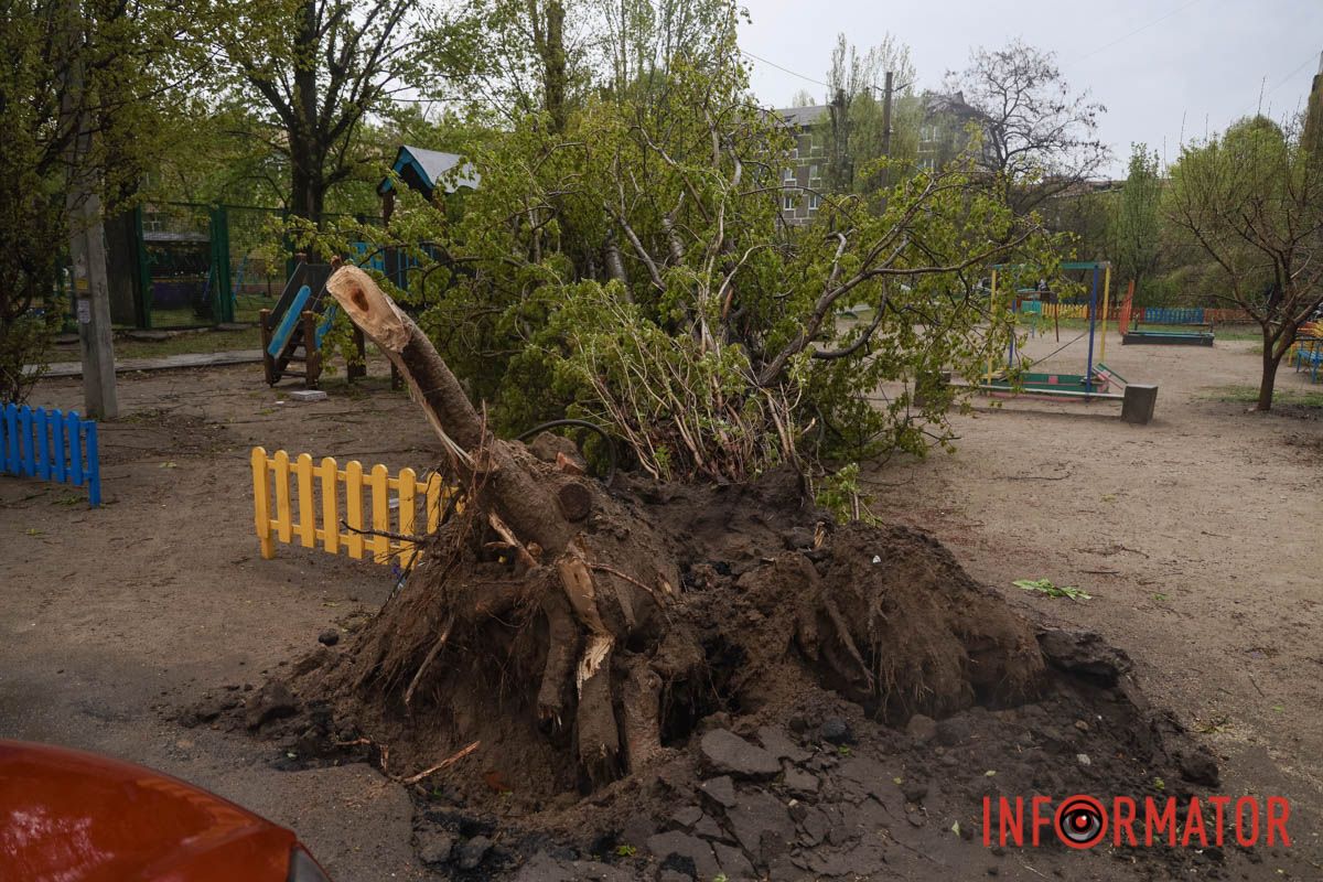 Немов торнадо: на лівому березі Дніпра десятки дерев повиривало з корінням, пошкоджені автівки та вирвані дроти 16