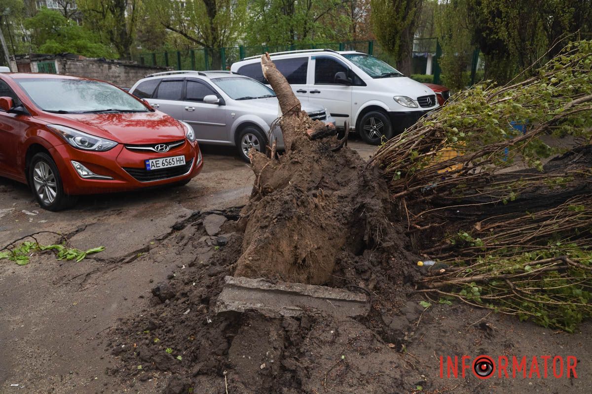 Немов торнадо: на лівому березі Дніпра десятки дерев повиривало з корінням, пошкоджені автівки та вирвані дроти 7