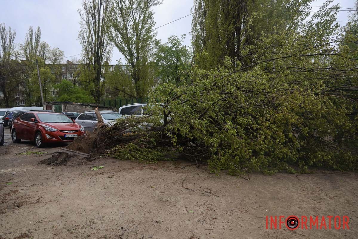 Немов торнадо: на лівому березі Дніпра десятки дерев повиривало з корінням, пошкоджені автівки та вирвані дроти 8
